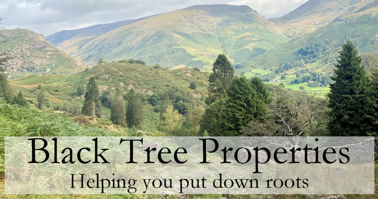 Black Tree Properties